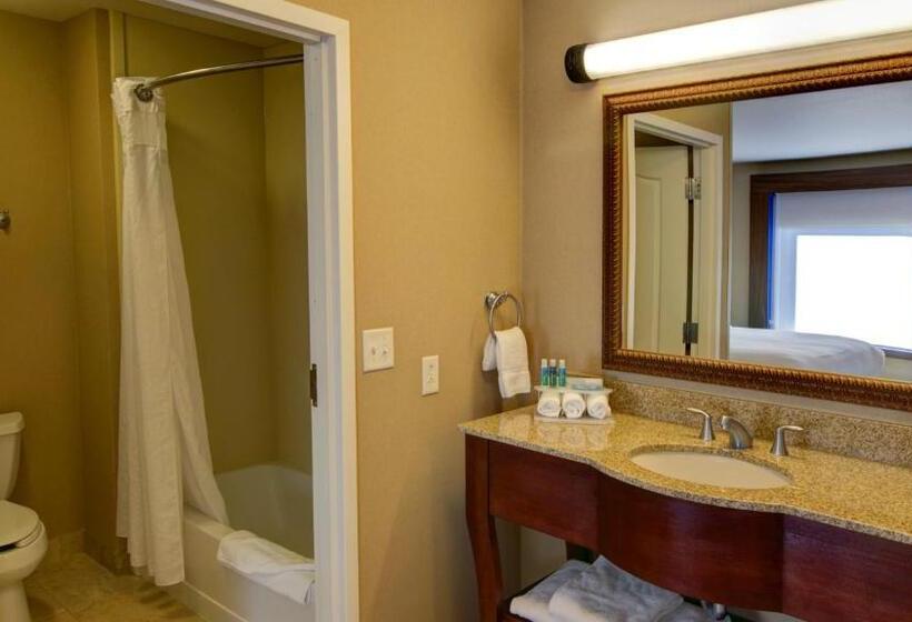 סוויטת אקזקיוטיב, עם מיטת קינג, Holiday Inn Express & Suites Sioux City South, An Ihg