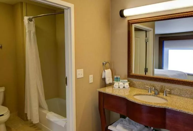سوئیت اجرایی با تخت کینگ, Holiday Inn Express & Suites Sioux City South, An Ihg