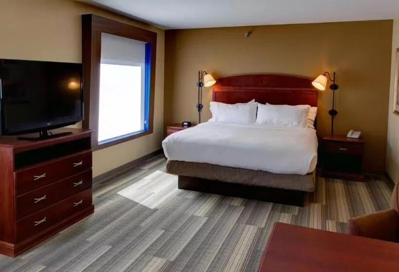 سوئیت اجرایی با تخت کینگ, Holiday Inn Express & Suites Sioux City South, An Ihg