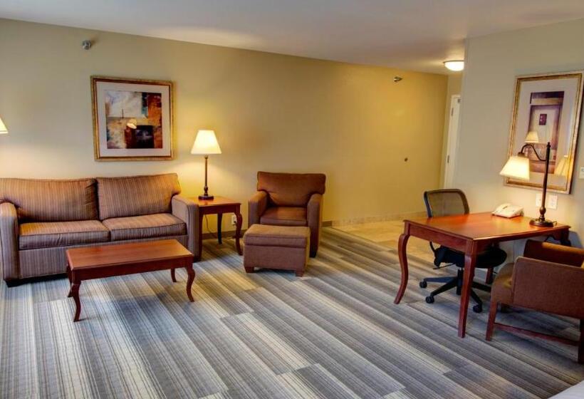 Люкс Executive Кровать Кинг, Holiday Inn Express & Suites Sioux City South, An Ihg