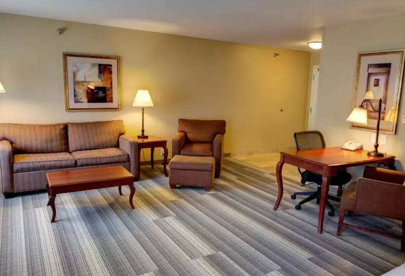 سوئیت اجرایی با تخت کینگ, Holiday Inn Express & Suites Sioux City South, An Ihg