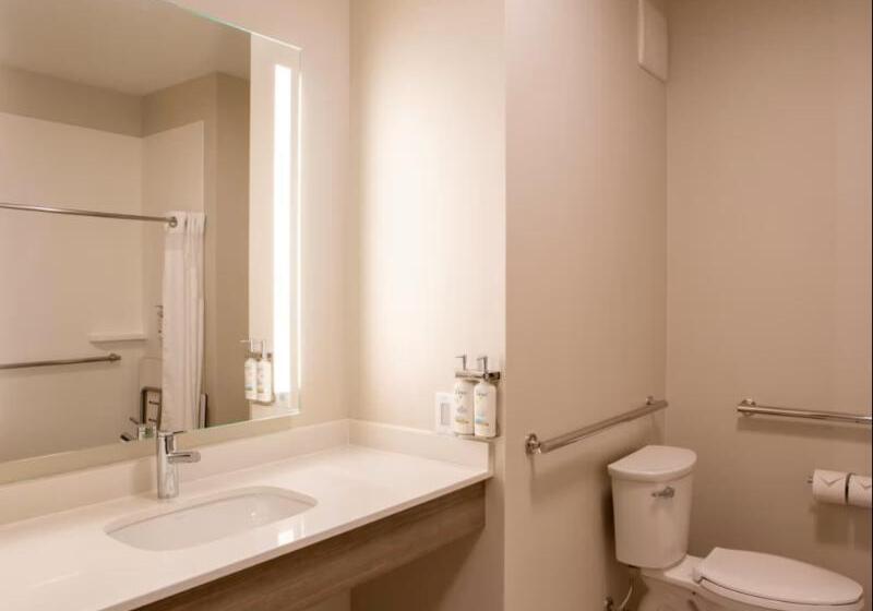 חדר סטנדרט עם מיטת קינג, Holiday Inn Express & Suites Sioux City South, An Ihg