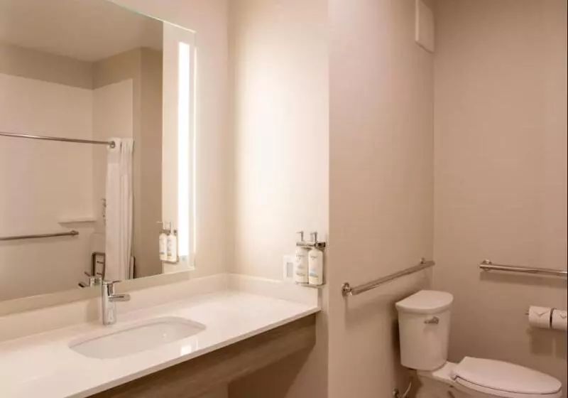 اتاق استاندارد با تخت بزرگ, Holiday Inn Express & Suites Sioux City South, An Ihg