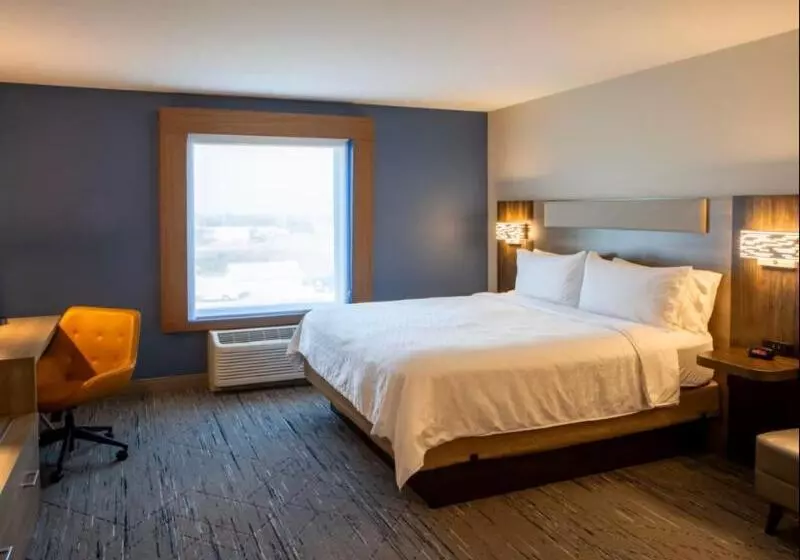 اتاق استاندارد با تخت بزرگ, Holiday Inn Express & Suites Sioux City South, An Ihg