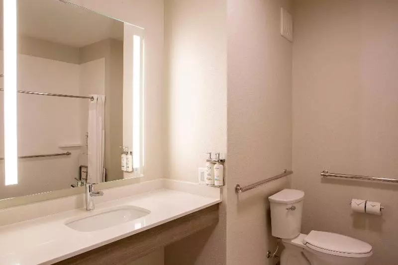 اتاق استاندارد با تخت بزرگ, Holiday Inn Express & Suites Sioux City South, An Ihg