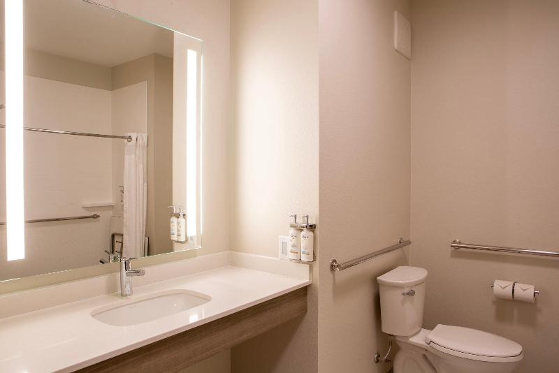 Стандартный Номер Кровать Кинг, Holiday Inn Express & Suites Sioux City South, An Ihg