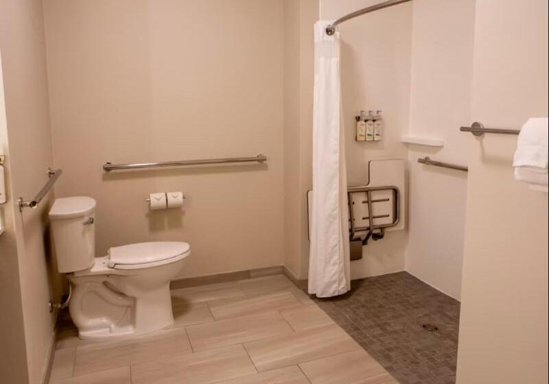 חדר סטנדרט, מיטת קינג, מותאם לאדם עם מוגבלויות, Holiday Inn Express & Suites Sioux City South, An Ihg