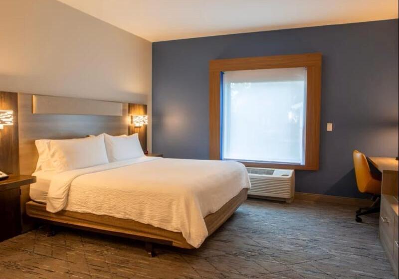 חדר סטנדרט, מיטת קינג, מותאם לאדם עם מוגבלויות, Holiday Inn Express & Suites Sioux City South, An Ihg