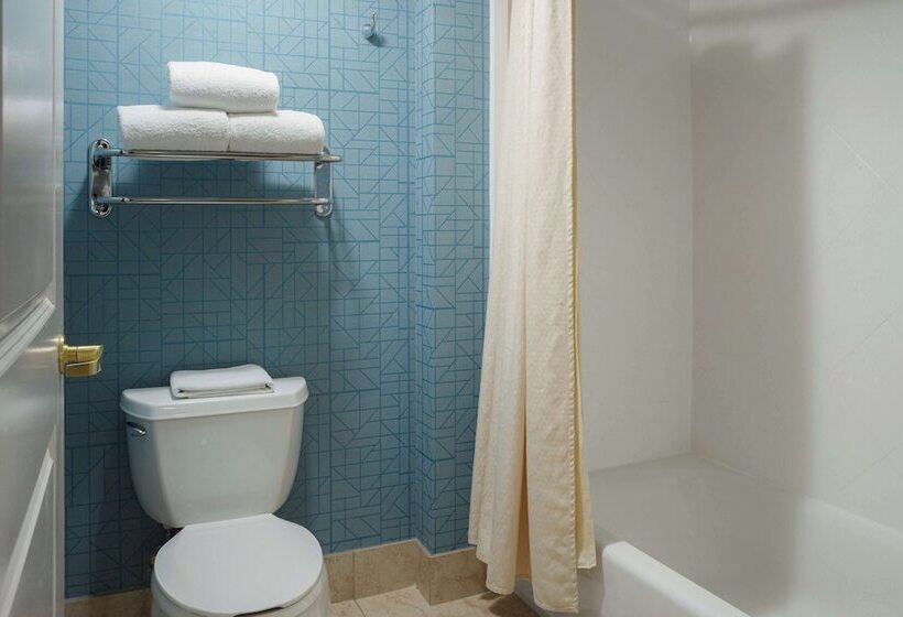 ２ベッドスイートルーム, Homewood Suites By Hilton Knoxville West At Turkey Creek