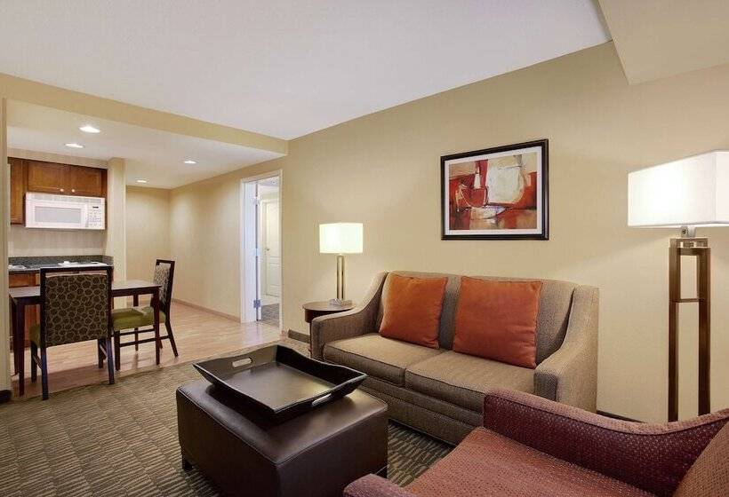 장애인을 위한 스탠다드 룸, Homewood Suites By Hilton Tampabrandon