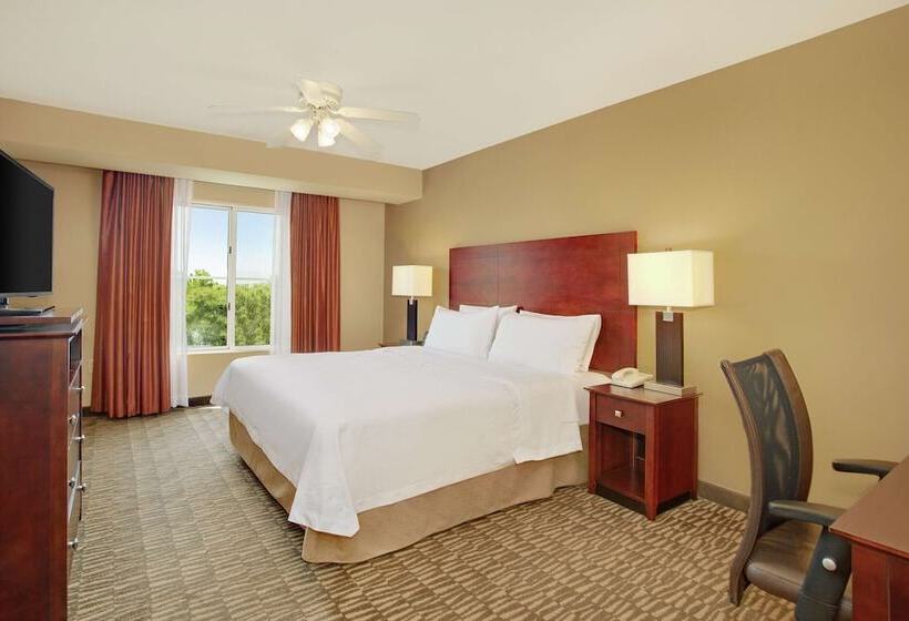 장애인을 위한 스탠다드 룸, Homewood Suites By Hilton Tampabrandon