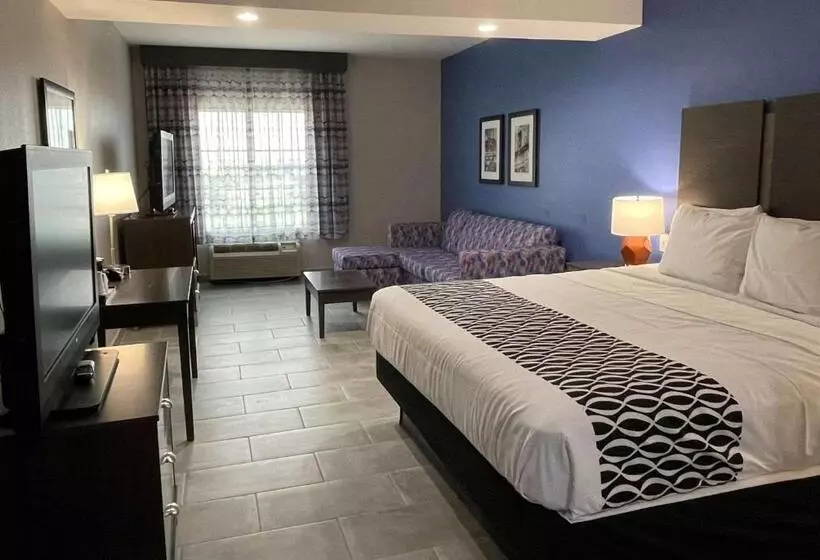 身障者適用キングサイズベッドルーム, La Quinta Inn And Suites By Wyndham   Schertz