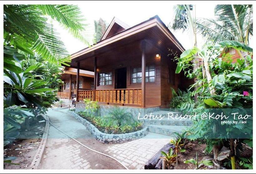 Люкс, Lotus Paradise Resort   Sha Plus