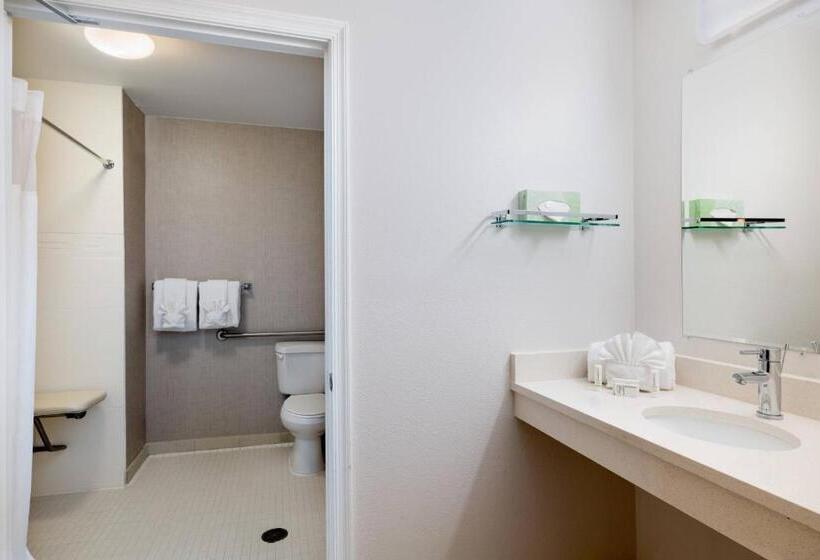 适合残疾人士使用的套间, Residence Inn By Marriott Williamsburg