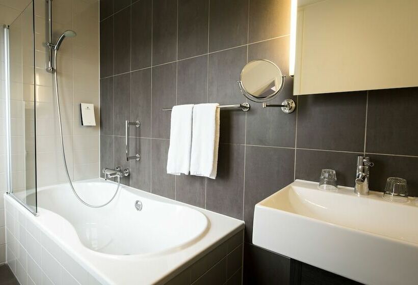 اتاق لوکس, The Manor Amsterdam