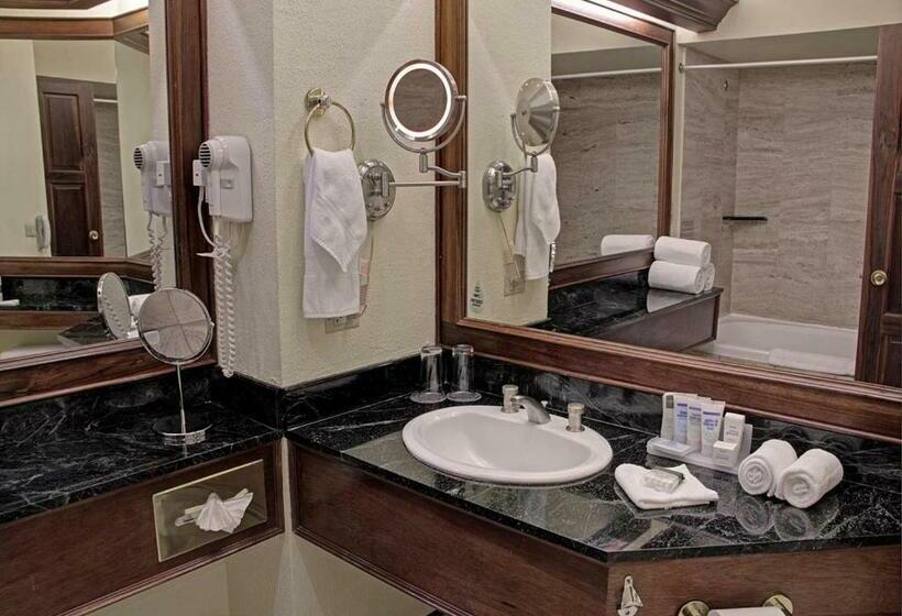 キングサイズベッドのスタンダードルーム, Wyndham San Jose Herradura