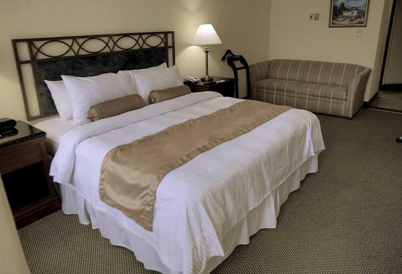 Стандартный Номер Кровать Кинг, Wyndham San Jose Herradura