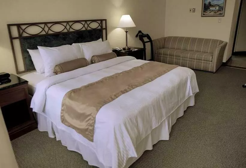 キングサイズベッドのスタンダードルーム, Wyndham San Jose Herradura