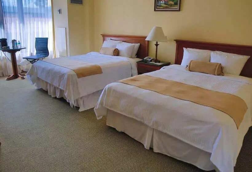 スタンダードルーム, Wyndham San Jose Herradura