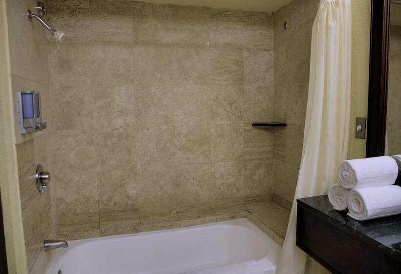 キングサイズベッドのデラックスルーム, Wyndham San Jose Herradura