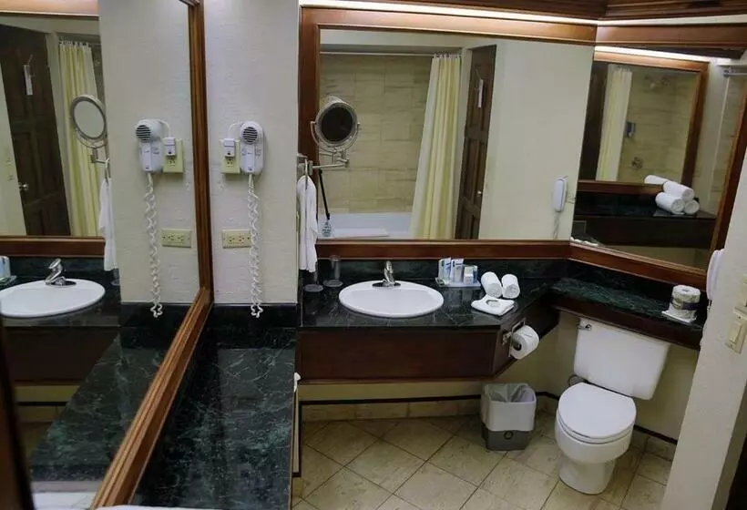 キングサイズベッドのデラックスルーム, Wyndham San Jose Herradura