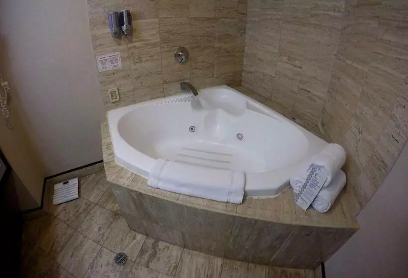 キングサイズベッドのジュニアスイート, Wyndham San Jose Herradura