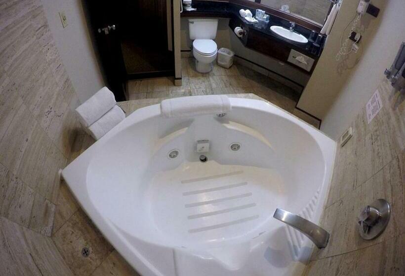 ジュニアスイート, Wyndham San Jose Herradura