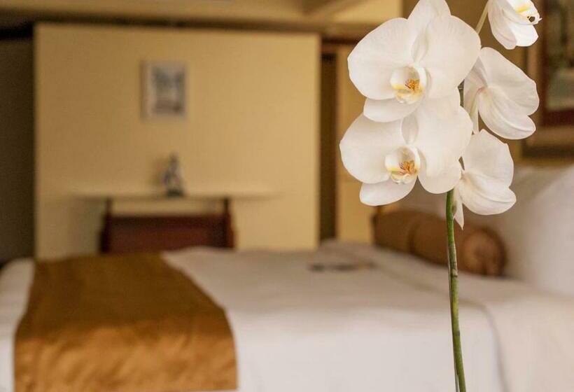 キングサイズベッドのスイートルーム, Wyndham San Jose Herradura