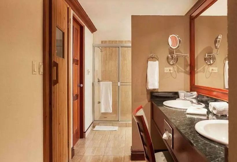 プレシデンシャルスイート２ベッドルーム, Wyndham San Jose Herradura