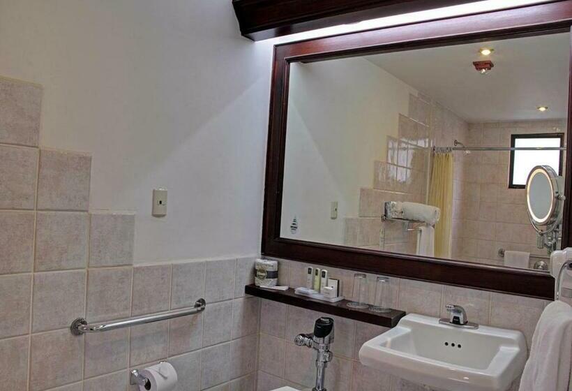 キングサイズベッドのスタンダードルーム, Wyndham San Jose Herradura