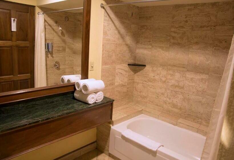 プールビュースタンダードルーム, Wyndham San Jose Herradura