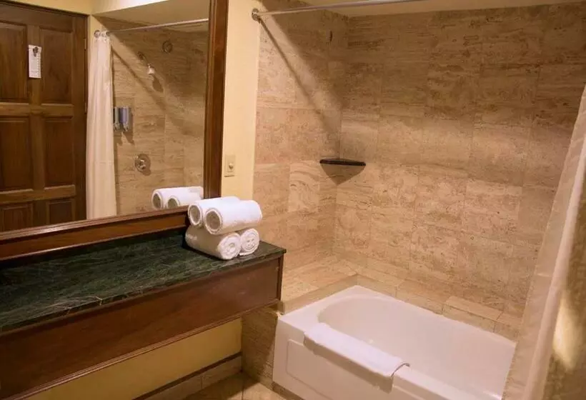 プールビュースタンダードルーム, Wyndham San Jose Herradura
