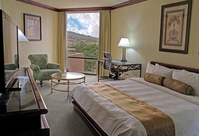 プールビュースタンダードルーム, Wyndham San Jose Herradura