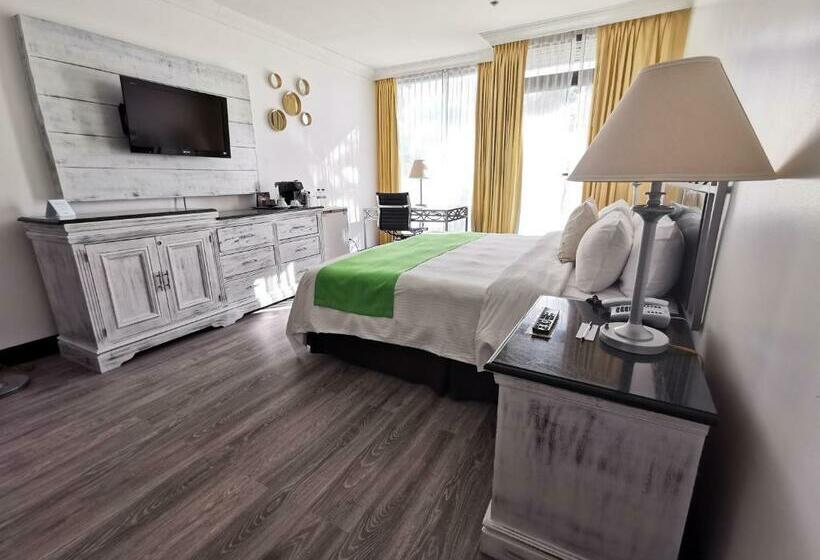 プレミアムルーム, Wyndham San Jose Herradura