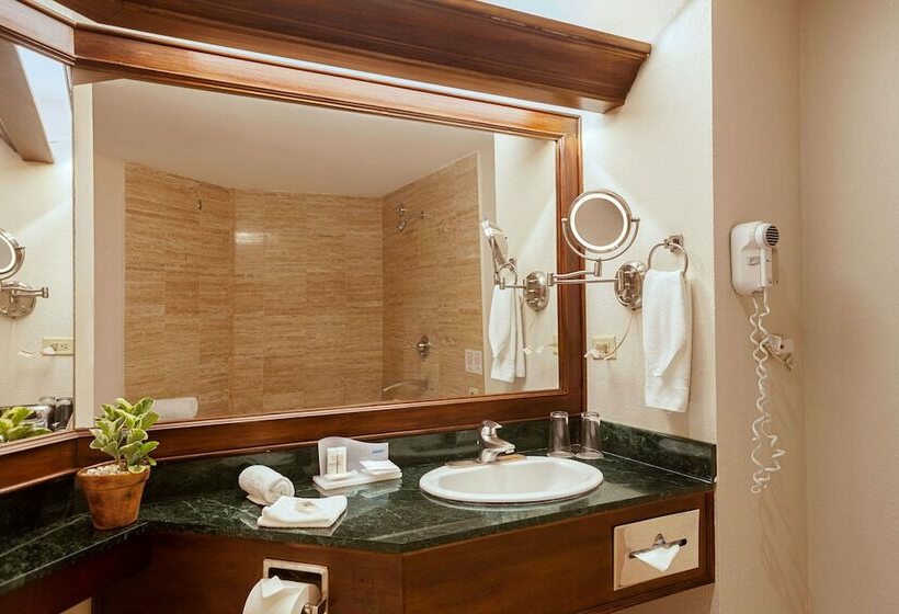 ジュニアスイート, Wyndham San Jose Herradura