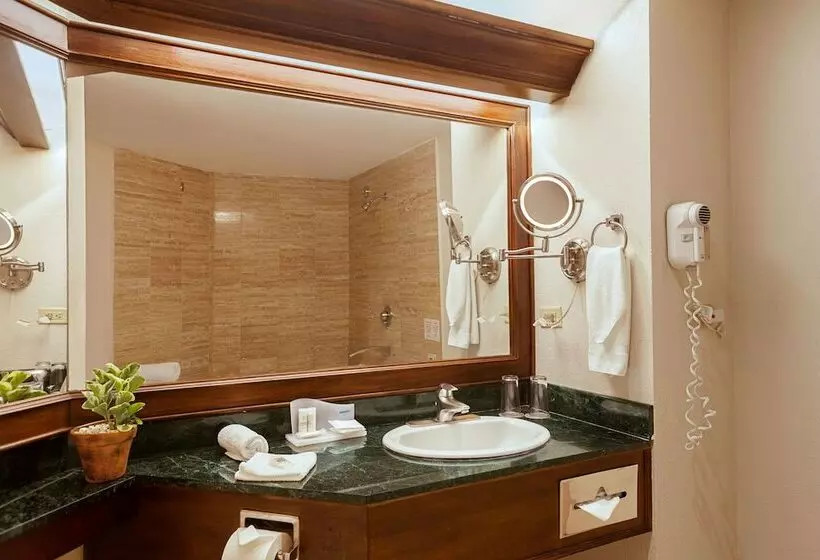 ジュニアスイート, Wyndham San Jose Herradura