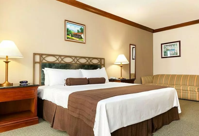 デラックスルーム, Wyndham San Jose Herradura