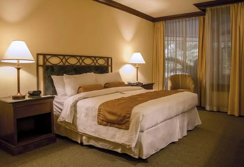 ジュニアスイート, Wyndham San Jose Herradura