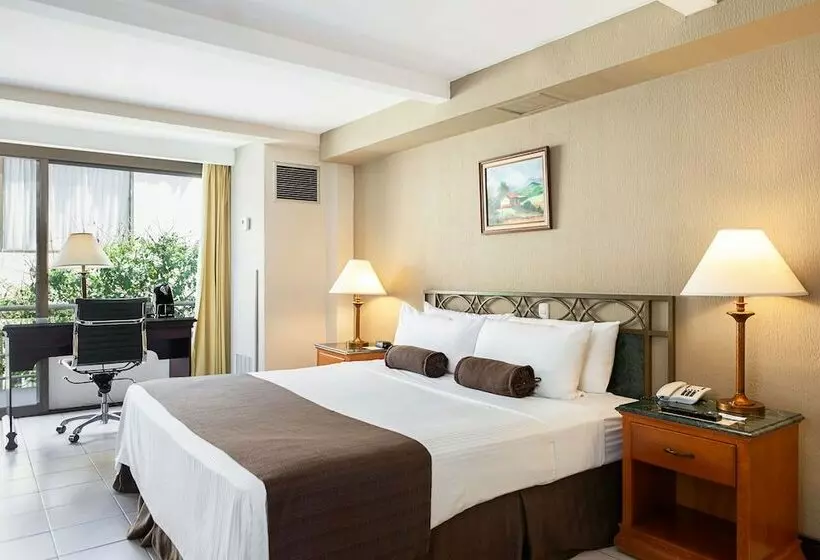 デラックスルーム, Wyndham San Jose Herradura