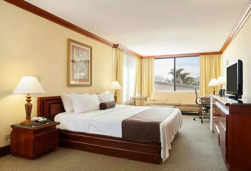 デラックスルーム, Wyndham San Jose Herradura