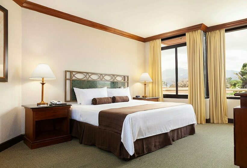 ジュニアスイート, Wyndham San Jose Herradura