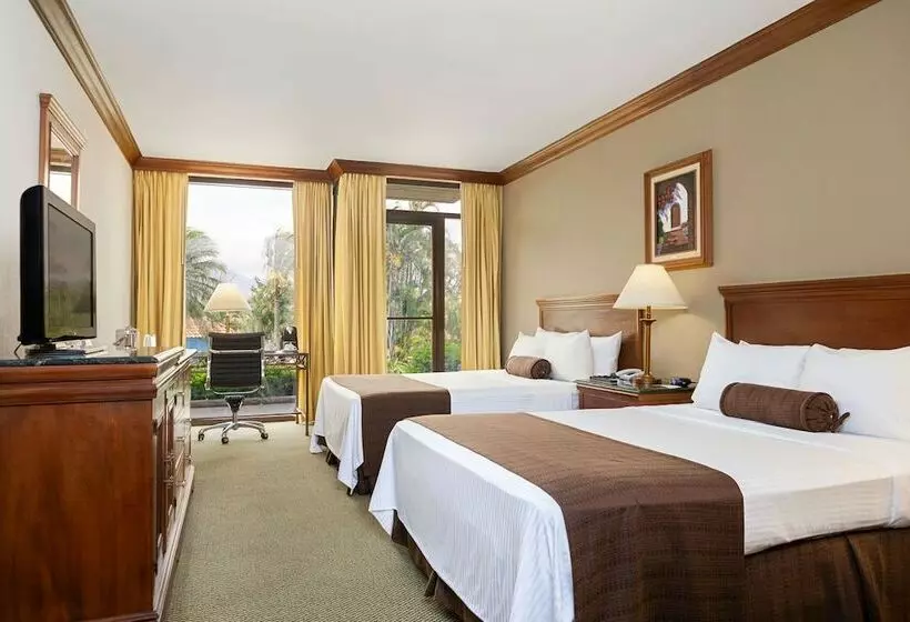 デラックスルーム, Wyndham San Jose Herradura