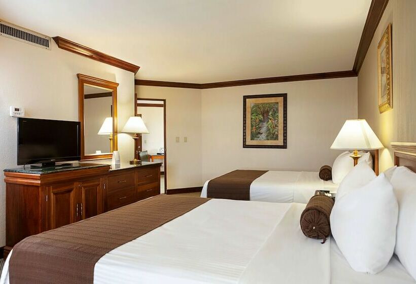 ジュニアスイート, Wyndham San Jose Herradura