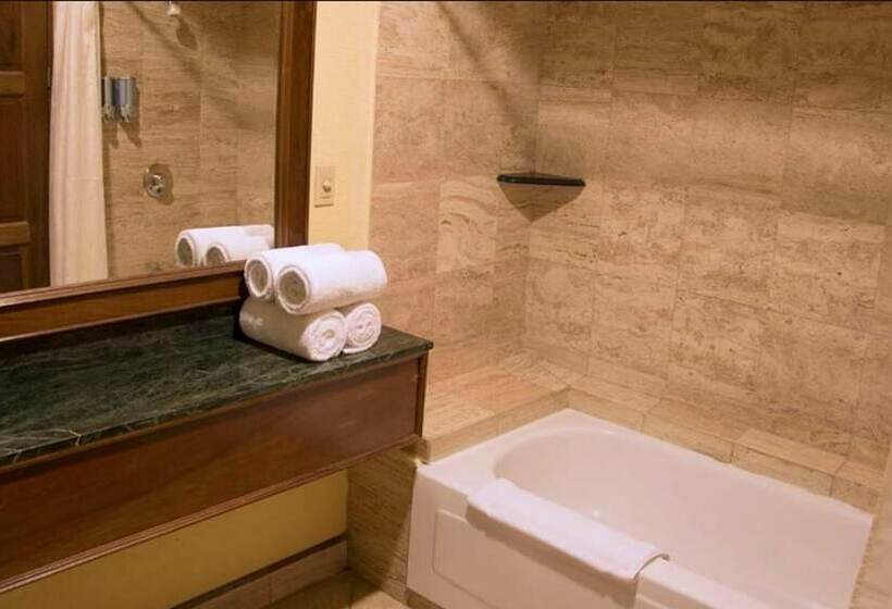 ジュニアスイート, Wyndham San Jose Herradura