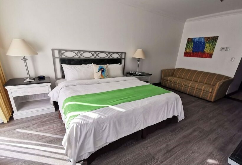 プレミアムルーム, Wyndham San Jose Herradura