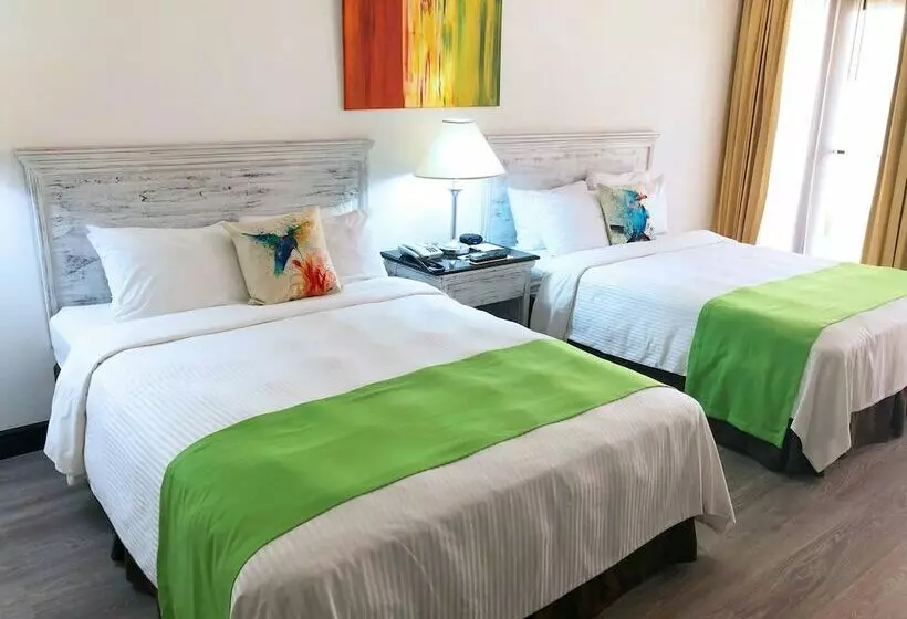 プレミアムルーム, Wyndham San Jose Herradura