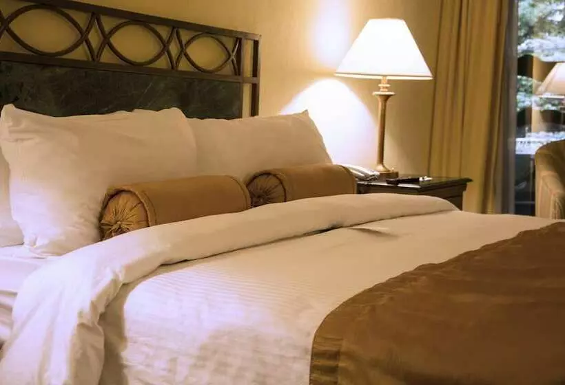 マスタースイートルーム, Wyndham San Jose Herradura