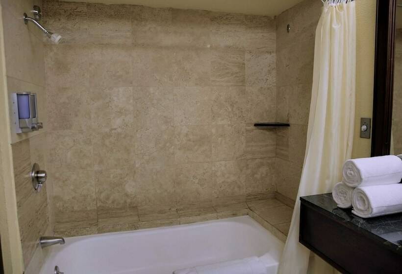 マスタースイートルーム, Wyndham San Jose Herradura