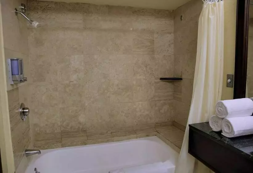マスタースイートルーム, Wyndham San Jose Herradura
