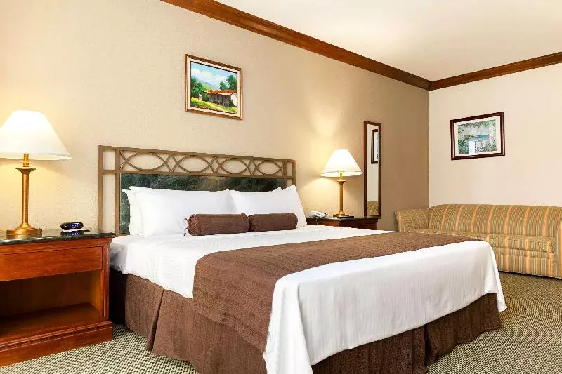 キングサイズベッドのスタンダードルーム, Wyndham San Jose Herradura